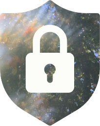 Privacy protection shield